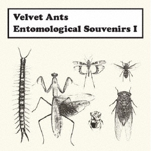 Velvet Ants/Entomological Souvenirs I( 1)[CAR-54]