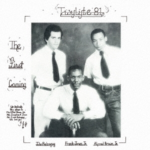Twylyte '81/եȡߥ[PCD-24969]