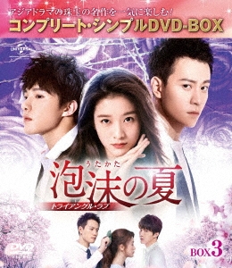 泡沫の夏～トライアングル・ラブ～ BOX3＜コンプリート・シンプルDVD-BOX＞＜期間限定生産版＞