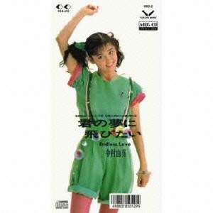 君の夢に飛びたい