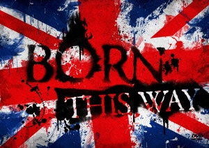 BORN THIS WAY～LIVE & DOCUMENT from TOUR 2013「Devilish of the PUNK」～