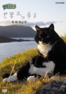 岩合光昭の世界ネコ歩き ノルウェー