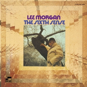 Lee Morgan/å(ϻ) +3ס[UCCQ-9582]