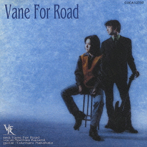 Vane For Road