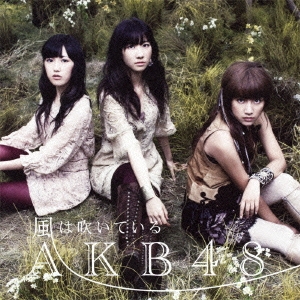 AKB48/ϿᤤƤ (Type-B) CD+DVDϡ̾ס[KIZM-133]
