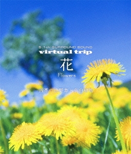 virtual trip 花 Flowers 四季の山野草と高山植物