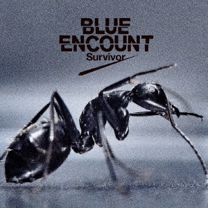BLUE ENCOUNT/Survivor̾ס[KSCL-2705]