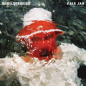 Pale Jay/Bewilderment[AMIP-0332]