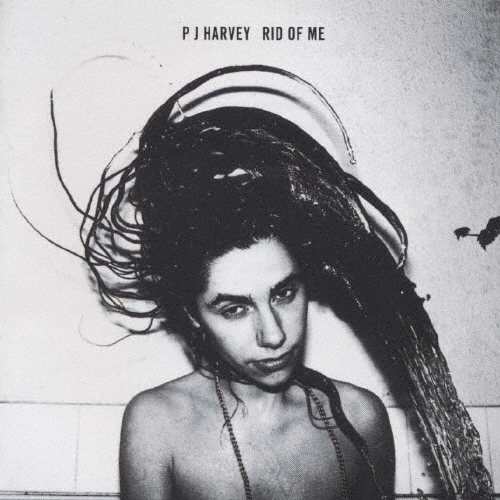 絶版 PJ Harvey 「The Hollow of the Hand」大型本 The Hollow of the Hand: Reader's Edition: Harvey, PJ, Murphy