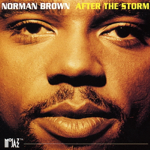 アフター・ザ・ストーム +1