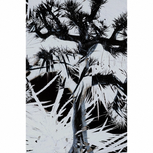 Plastic Tree [CD+DVD+BOOK]＜完全生産限定盤＞