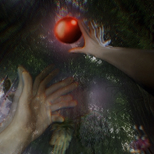 Untranslatable
