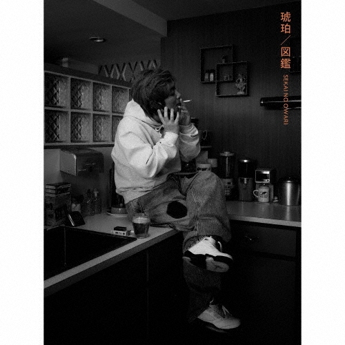 SEKAI NO OWARI/琥珀/図鑑 ［CD+DVD+SEKAI NO OWARIメンバー図鑑