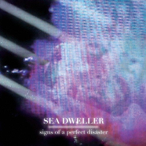 Sea Dweller/������ ���� �� �ѡ��ե����� �ǥ���������[HAMR-1003]