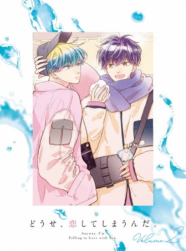 どうせ、恋してしまうんだ。 DVD BOX 2