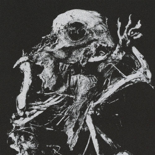 BiS2nd/�����󥹥ȥ��ڥ���[CRCP-10418]