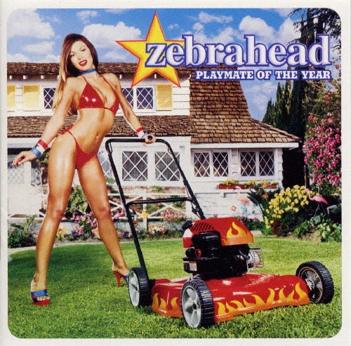 プレイメイト・オブ・ザ・イヤー＜期間生産限定盤＞