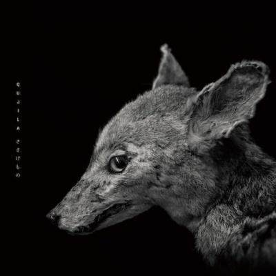  (QUJILA)/[GLAX-005L]