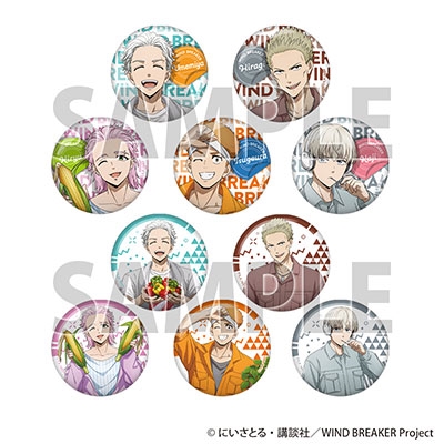 WIND BREAKER ȥ졼ǥ󥰴̥Хå ڼver. vol.2(10BOX)[4571542980960]
