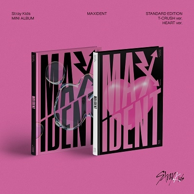 Stray Kids/MAXIDENT: Mini Album (ランダムバージョン)