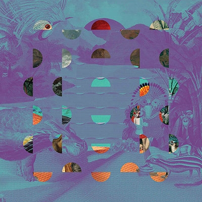 Jazz Dispensary: Super Skunk＜Colored Vinyl＞