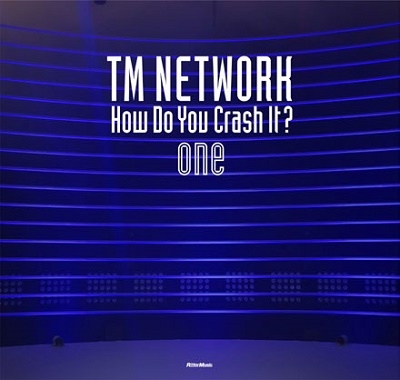 TM NETWORK How Do You Crash It? (通常盤)