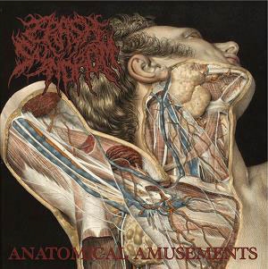 TOWER RECORDS ONLINE㤨Crash Syndrom/Anatomical Amusements[ORCD-138]פβǤʤ1,100ߤˤʤޤ