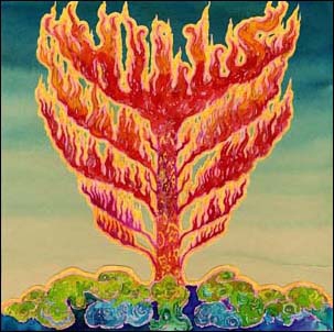 TOWER RECORDS ONLINE㤨Hills/Frid[LAUNCH079CD]פβǤʤ2,790ߤˤʤޤ