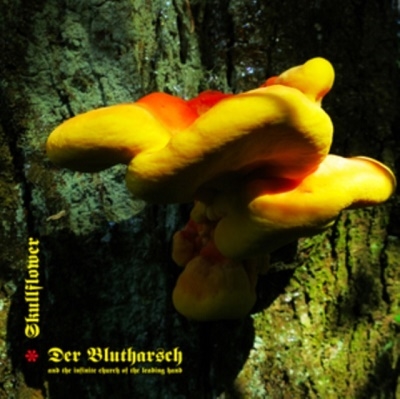 Angel Of Darkness Angel Of Darkness