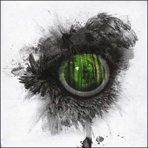 Emeral Forest And The Blackbird