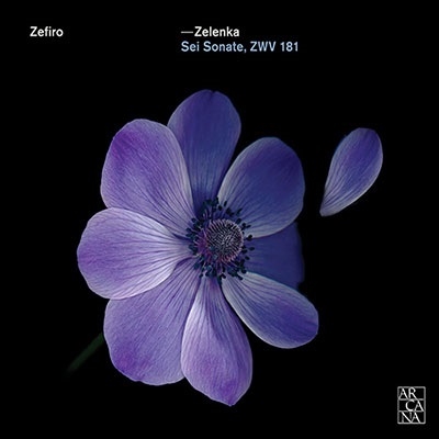 󥵥֥롦ե/Zelenka Sei Sonate, ZWV 181[A394]