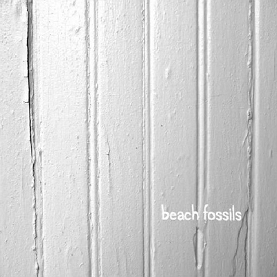ビーチ･フォッシルズ