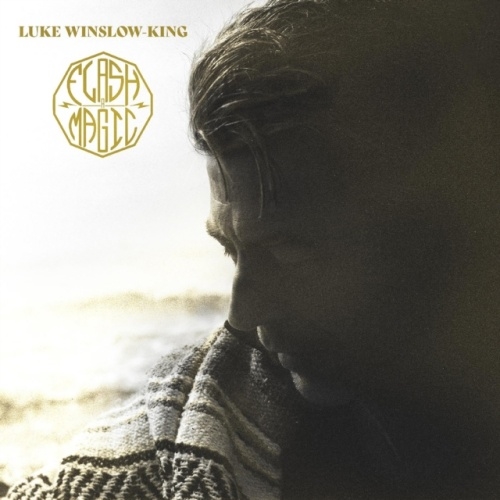 TOWER RECORDS ONLINE㤨Luke Winslow-King/Flash-A-MagicClear Vinyl[LPBS321C]פβǤʤ4,890ߤˤʤޤ