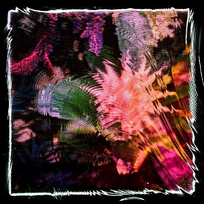 Camila Fuchs/Kids Talk SunColored Vinyl/ס[FLT069LPC1]