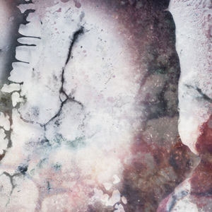 TOWER RECORDS ONLINE㤨Multicast Dynamics/Outer Envelopes[DNOV2482]פβǤʤ3,390ߤˤʤޤ