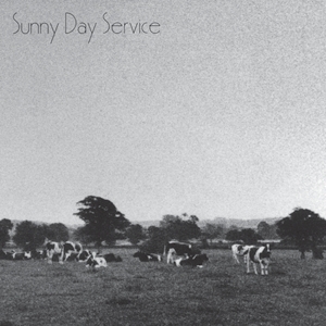 サニーデイ・サービス