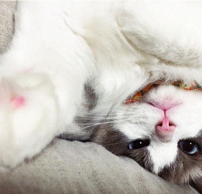 TOWER RECORDS ONLINE㤨Emitation/Distribution channel of the three clouds[RAW-06]פβǤʤ1,320ߤˤʤޤ