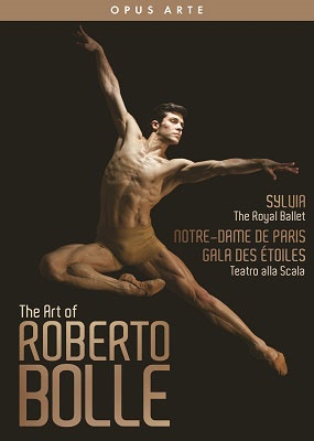 The Art of Roberto Bolle ロベルト・ボッレの芸術 The Art of Roberto Bolle ロベルト・ボッレの芸術