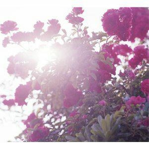 REVERSO<数量限定盤> REVERSO<数量限定盤>