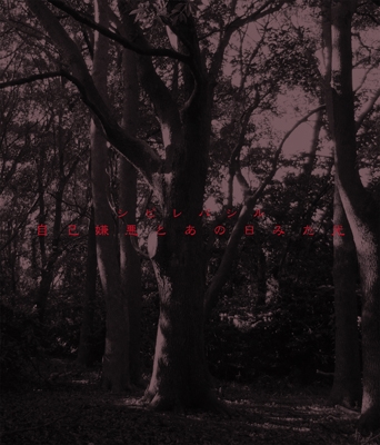 自己嫌悪とあの日みた光