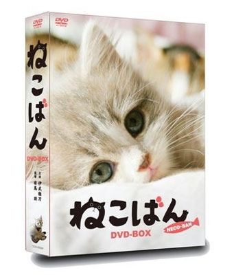 ねこばん DVD-BOX