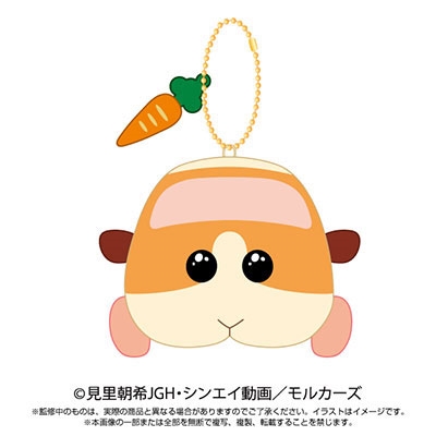 もるかー PUI PUI モルカー × OJAGA DESIGN – ヒキダシストア