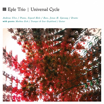 Universal Cycle