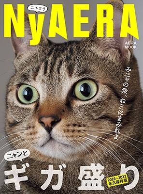 NyAERAギガ盛り AERA MOOK