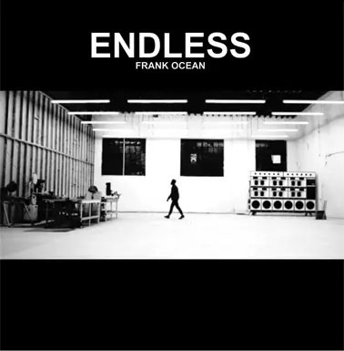 Endless＜限定盤/Colored Vinyl＞