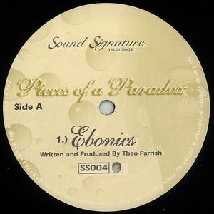TOWER RECORDS ONLINE㤨Theo Parrish/Pieces Of Paradoxס[SS004]פβǤʤ2,490ߤˤʤޤ
