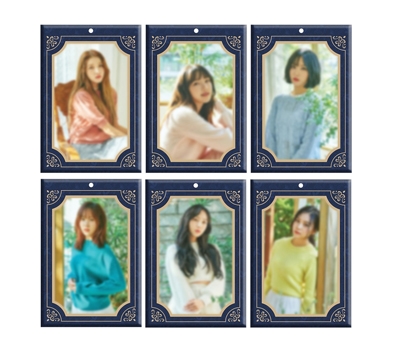 GFRIEND/GFRIEND 2019 SEASON'S GREETINGS ［CALENDAR+GOODS+DVD］