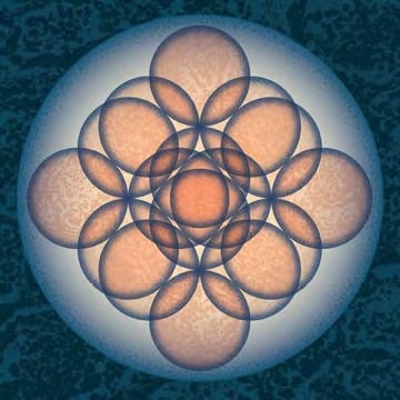 Embryo/Auf Auf[MMS047CDJP]