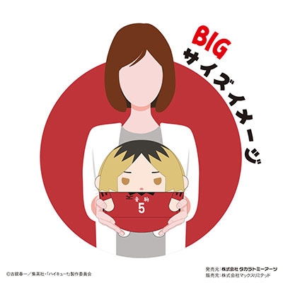 ふわコロりん　BIG 黒尾鉄朗 グッズ-ぬいぐるみ】ハイキュー!! ふわコロりんBIG スペシャル D