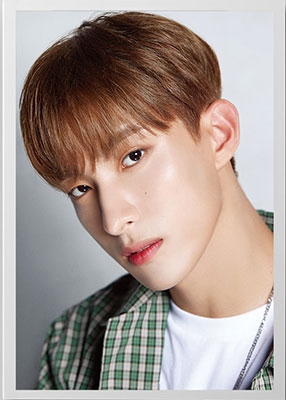 DICON D'FESTA SEVENTEEN DK version